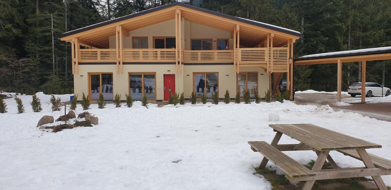 Villa Chalet Relax Molveno E Andalo Dolomiti Extérieur photo