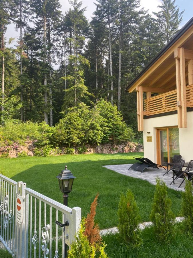 Villa Chalet Relax Molveno E Andalo Dolomiti Extérieur photo