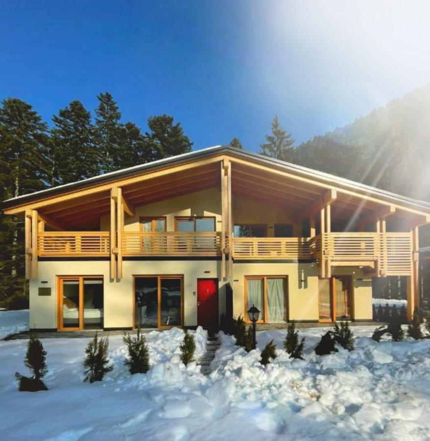 Villa Chalet Relax Molveno E Andalo Dolomiti Extérieur photo