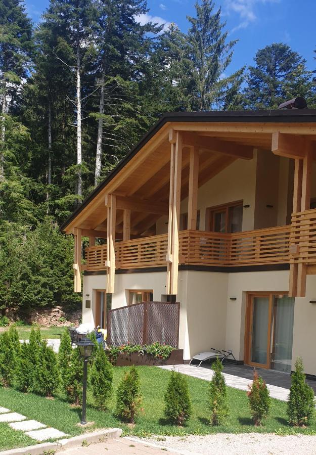 Villa Chalet Relax Molveno E Andalo Dolomiti Extérieur photo