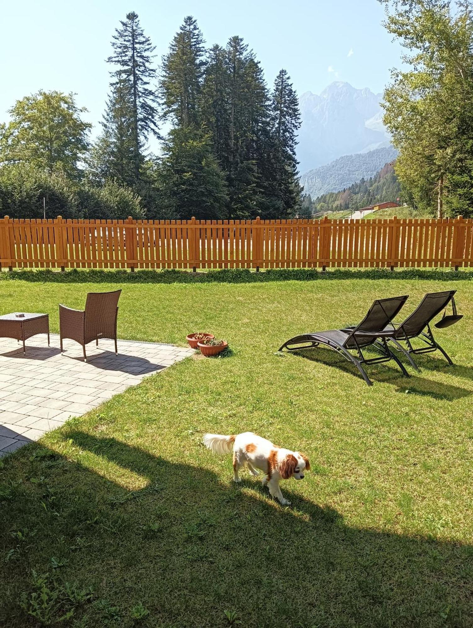 Villa Chalet Relax Molveno E Andalo Dolomiti Extérieur photo
